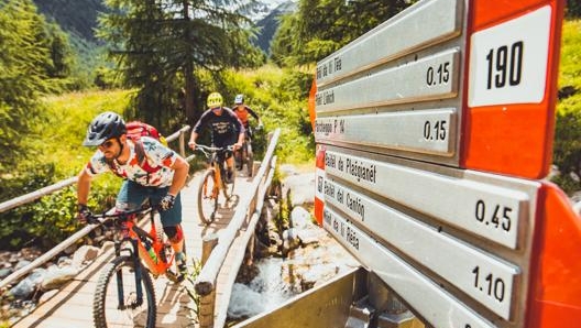 I percorsi in quota adatti a biker di differente capacità tecnica sono il teatro della Tutti Frutti Challenge