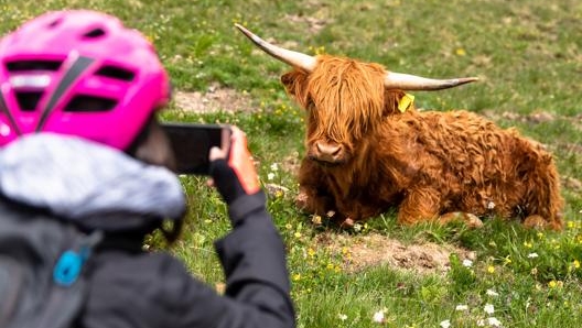 Per vincere è necessario scovare punti d’interesse e condividere contenuti sui social