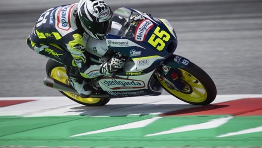 Romano Fenati, 25 anni