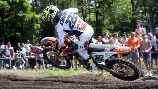 Antonio Cairoli  in azione