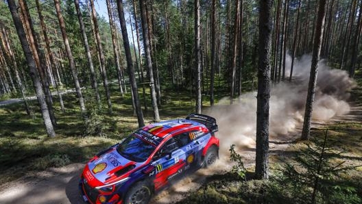 Thierry Neuville su Hyundai i20 Coupé