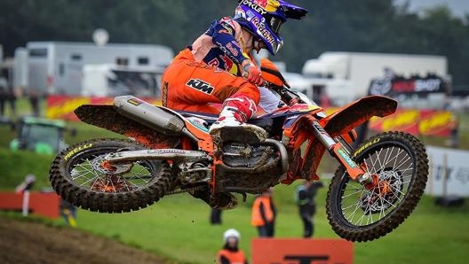 Herlings