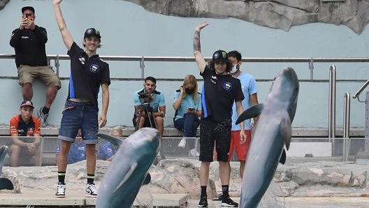 Da sinistra Luca Marini e Marco Bezzecchi all’Oceanografico di Valencia. Getty