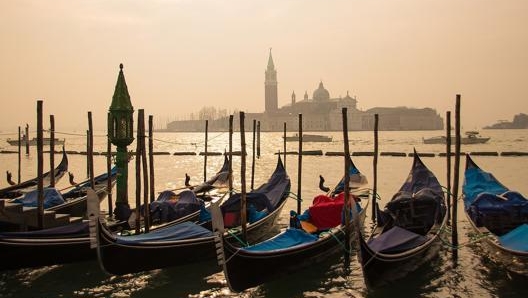 La E1 Series potrebbe correre a Venezia. Foto: Lloyd Images