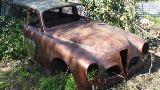 Sotto un albero, a Montevideo, si nascondeva questa  Alfa Romeo 1900...