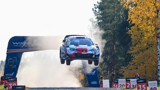 Elfyn Evans, Toyota. Epa