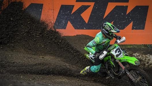 Romain Febvre (Kawasaki)