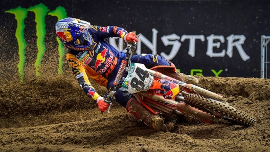 Herlings