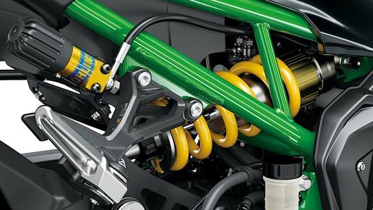 L'unità Ohlins S46 al posteriore