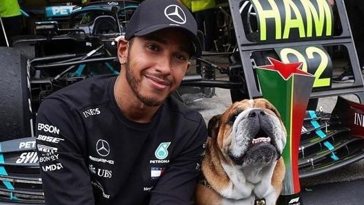 Hamilton e l’inseparabile bulldog Roscoe (foto @lewishamilton)