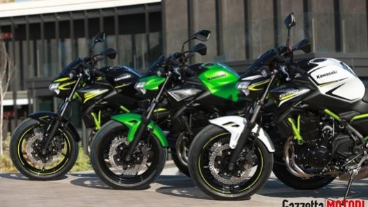 Bianca, verde lime e nera. Sono queste le colorazioni della Z650