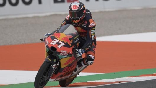 Pedro Acosta, campione del mondo Moto3 2021. Getty