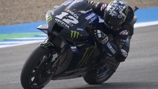 Viñales corre in Yamaha dal 2017: 8 vittorie insieme in MotoGP. Getty