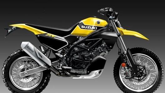 Look aggressivo e ciclistica off road: è così che Oberdan Bezzi ha immaginato la Suzuki SV 650 Rally