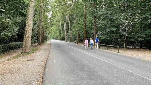 Viale Cavriga collega Monza e Villasanta all’interno del parco. Masperi