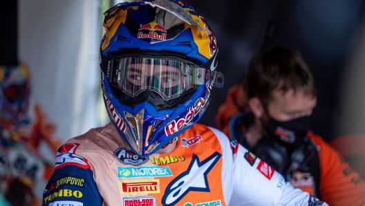 Herlings infortunio