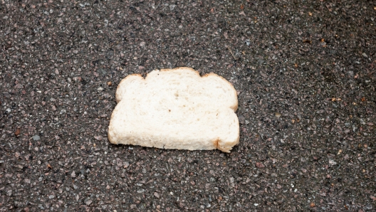 Batteri sul cibo caduto a terra