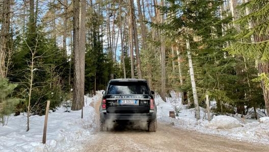 La RR inn azione nei boschi sopra Bolzano