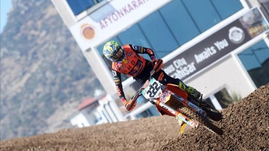 Tony Cairoli