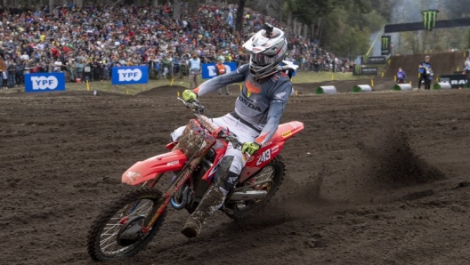 Tim Gajser (Honda) vince il GP dell'Argentina