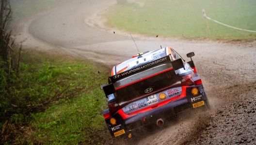 Thierry Neuville (Hyundai)