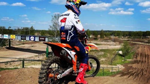 herlings