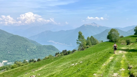 triangolo lariano