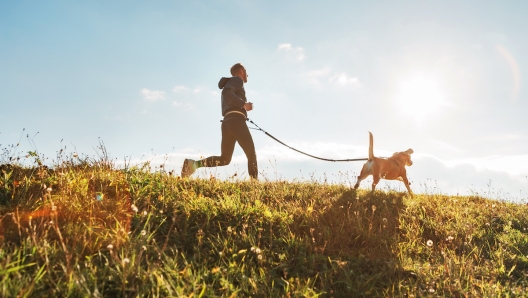 Cross running con il cane le iniziative