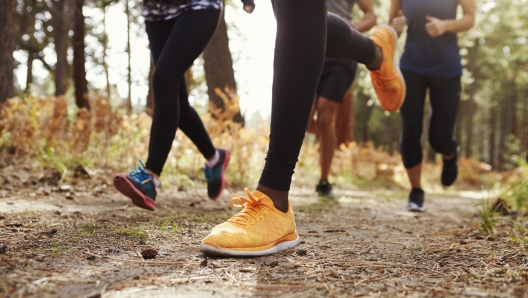 Corsa nel bosco