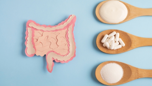 Probiotici e prebiotici cosa sono e differenze