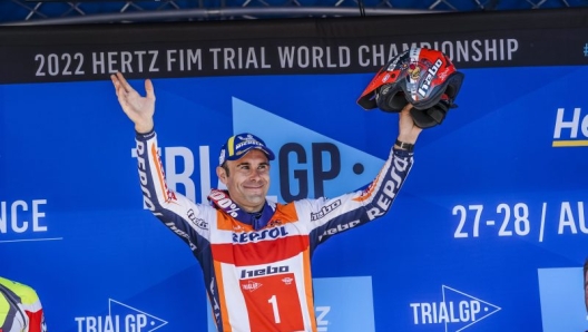 toni bou