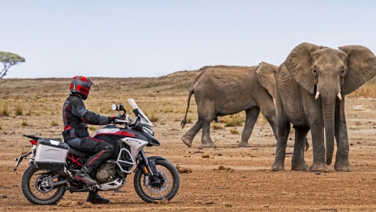 Non esistono destinazioni proibitive per la nuova Multistrada V4 Rally