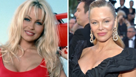 Pamela Anderson - CJ Parker