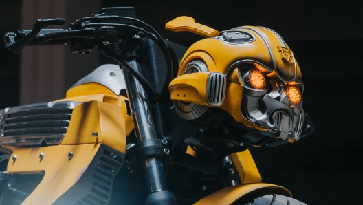 Lo sguardo inquietante della special Bumblebee