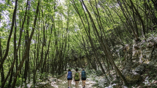 Vai delle Sorelle, Parco delle Colline (Alessio Guitti)