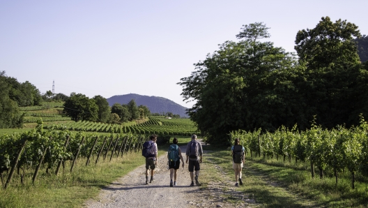 Via delle Sorelle, passaggio in Franciacorta (Alessio Guitti)