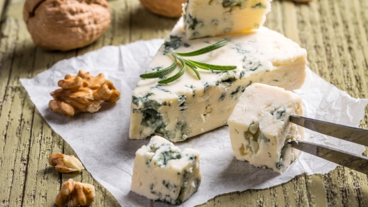 Cheese with mold on wooden background