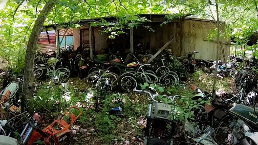 Le moto abbandonate nel bosco