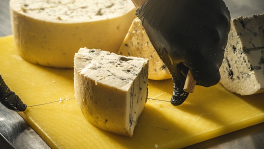 formaggi italiani: gorgonzola