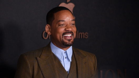 Pugno Will Smith