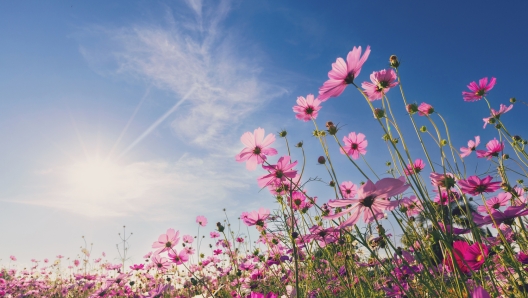 Meteo, la primavera  alle porte