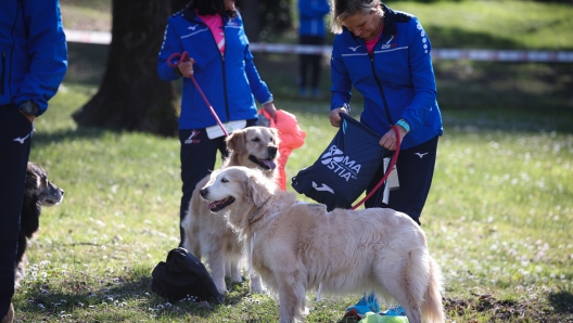 Foto Alessandro Garofalo/LaPresse 04 marzo  2023 Roma, Telepass Roma Ostia mezza maratona 
atletica leggera 
Nella foto: Dog Runner 

March 04 , 2023 Rome, Telepass Roma Ostia Half Marathon 
RunningIn the pic: Dog Runner