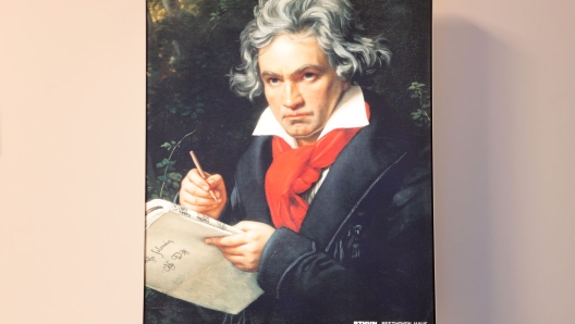 Beethoven come è morto?