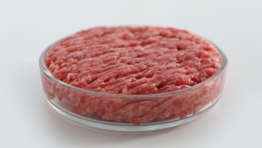 Petri dish with raw minced cultured meat on white table, closeup