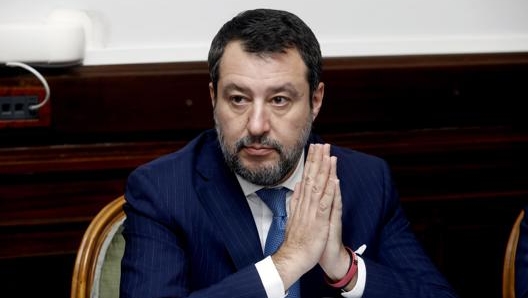 Matteo Salvini, Ansa