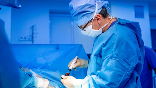 Stem cells operation. Health care concept. Surgeons team working. Bone marrow transplant operation. Plasma in syringe. Selective focus. Medical room background.