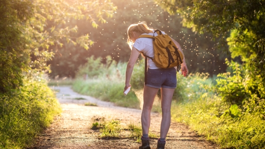 Woman applying insect repellent against mosquito and tick on her leg during hike in nature. Skin protection against insect bite