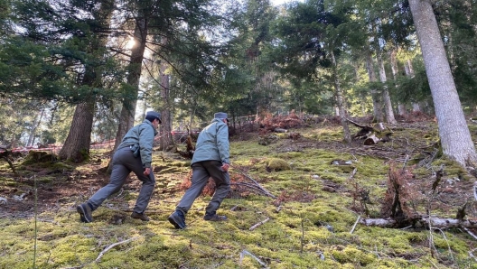 Una foto diffusa dalla Provincia di Trento in merito alla morte del runner 26enne trovato senza vita a Caldes, in val di Sole, 06 aprile 2023. Sarà l'autopsia, disposta dall'autorità giudiziaria, a stabilire la causa del decesso. Tra le ipotesi al vaglio degli inquirenti, figura anche l'aggressione da parte di un animale selvatico, conferma la Provincia di Trento. Il corpo del giovane è stato trovato alle 3 di notte sotto il ciglio di una strada forestale in località Contre - ai piedi di malga Grum - seguendo la traccia di uno dei due cani molecolari. Le ricerche erano scattate nella serata di ieri, dopo l'allarme lanciato dai famigliari che non hanno visto il giovane rientrare dopo che era uscito per una corsa in montagna. ANSA/ US/ PROVINCIA DI TRENTO +++ ANSA PROVIDES ACCESS TO THIS HANDOUT PHOTO TO BE USED SOLELY TO ILLUSTRATE NEWS REPORTING OR COMMENTARY ON THE FACTS OR EVENTS DEPICTED IN THIS IMAGE; NO ARCHIVING; NO LICENSING +++ NPK +++