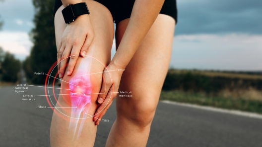 Human Knee joint anatomical diagram,  medical scheme. Educational information template