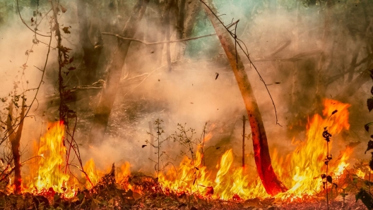 incendi cambiamento climatico